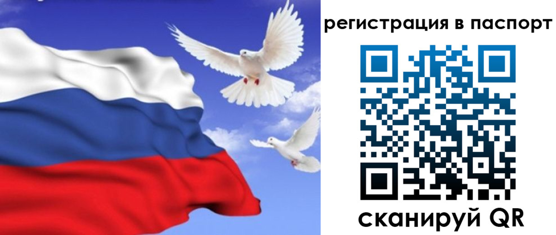 купить прописку в Болотном